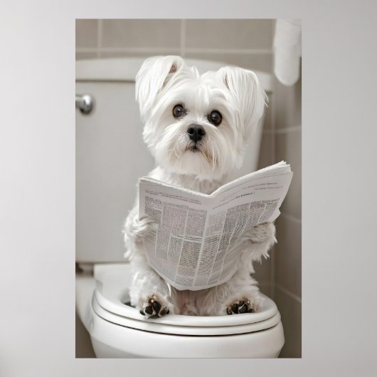 Poster Funny Maltese Dog Bathroom Print, Newspaper Art (Devant)
