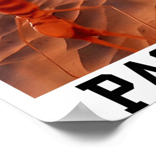 Poster Funny Marcus The Worm Rigatoni Pasta Robert Meme T (Coin)