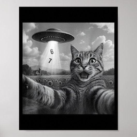 Poster Funny Meme Cat Selfie Six Seven Retro Cat 67 Anima (Devant)