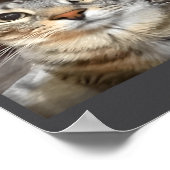 Poster Funny Meme Cat What The Sigma Cute Cat Meme Quote  (Coin)