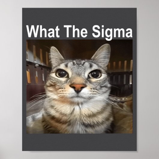 Poster Funny Meme Cat What The Sigma Cute Cat Meme Quote  (Devant)