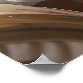 Poster Funny Monkey in Bathrobe Print, Bathroom Humor (Coin)