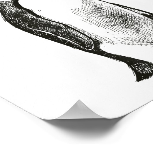 Poster Funny New Year Same Baka Life Humor Penguin Joke (Coin)