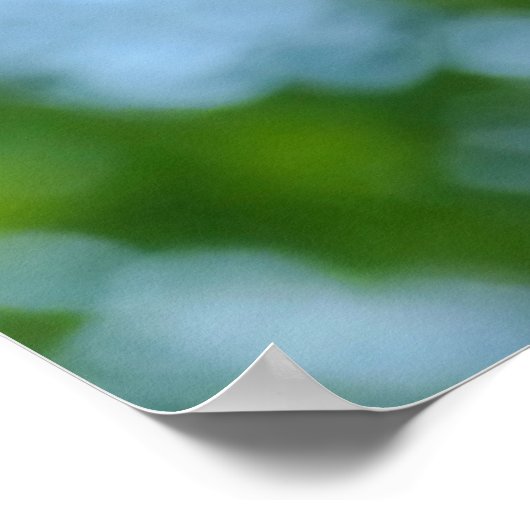 Poster Funny Ostrich Photo (Coin)