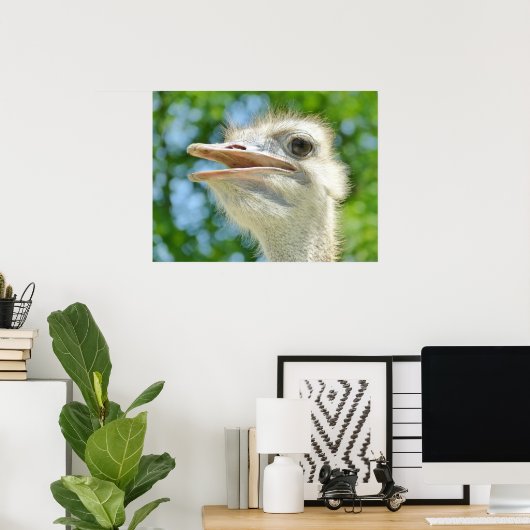 Poster Funny Ostrich Photo (Bureau à domicile)