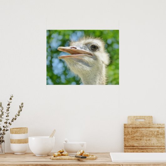 Poster Funny Ostrich Photo (Cuisine)