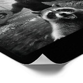 Poster Funny Raccoon Selfie With Bigfoot 67 Six Seven Mem (Coin)