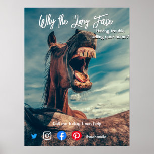 Poster funny real estate postcard long face horse