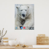 Poster funny real estate postcard long face white bear (Cuisine)