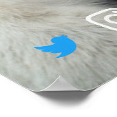 Poster funny real estate postcard long face white bear (Coin)