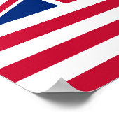 Poster Funny Red Blue Make America Royal Again Flag (Coin)