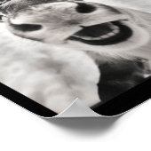 Poster Funny Reindeer Selfie Christmas Santa Funny Kids  (Coin)