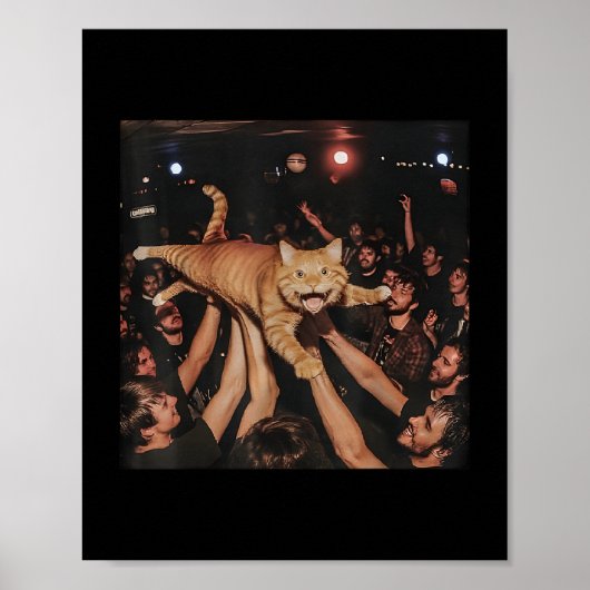 Poster Funny Rock Show Chat Mème mignonne Tabby Kitten Fo (Devant)