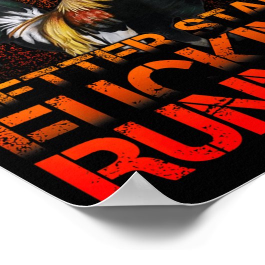 Poster Funny Rooster Fight  (Coin)