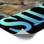 Poster Funny Saying Cat Lover I'm Feeling Silly Cat Meme  (Coin)