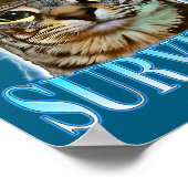 Poster Funny Saying Cats Tummy Ache Survivor Cat Meme Hum (Coin)