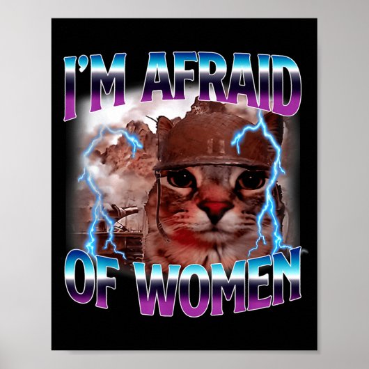 Poster Funny Saying Humor Afraid Of Women Cat Meme Animal (Devant)