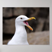 Poster FUNNY Seagull (Devant)