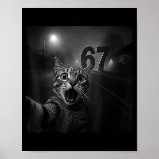 Poster Funny Six Seven 6 7 Meme Gen Z Alpha Slang Cat Sel (Devant)