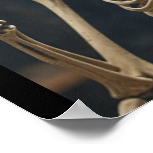 Poster Funny Skeleton (Coin)