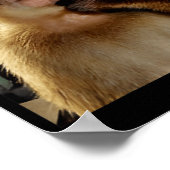 Poster Funny Thinking Monkey Meme Curious Ape Brainrot Gi (Coin)