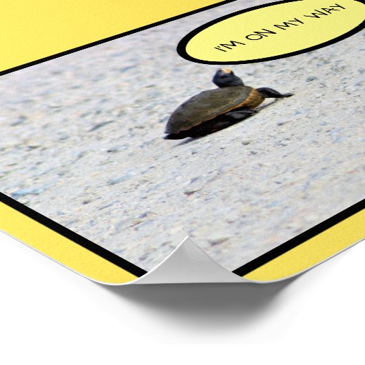 Poster Funny Turtle Photo (Coin)