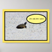 Poster Funny Turtle Photo (Devant)