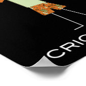 Poster Funny Women Cricket  (Coin)