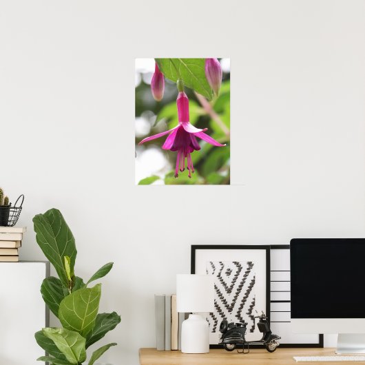 Poster Fuschia (Bureau à domicile)