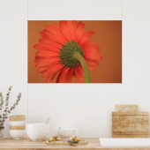 Poster Fusion (Cuisine)