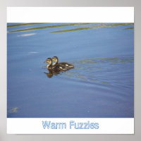 Fuzzés chauds