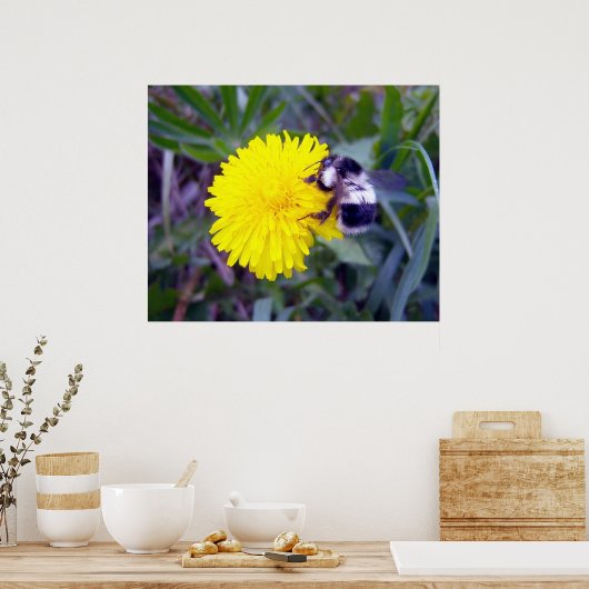 Poster Fuzzy Bee (Cuisine)