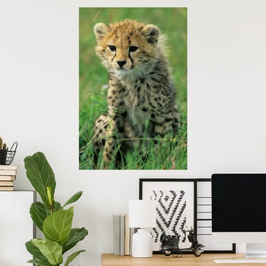 Poster Fuzzy Cheetah Cub (Bureau à domicile)
