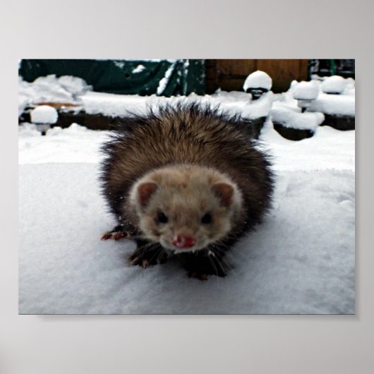 Poster Fuzzy Le Grand (Devant)