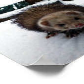 Poster Fuzzy Le Grand (Coin)