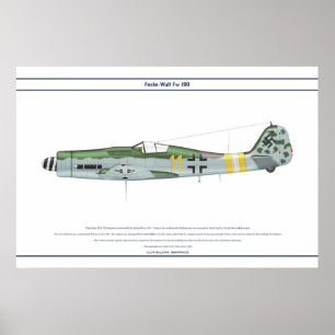 Poster Fw-190 D-9 JG2 1