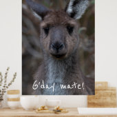 Poster G jour Mate Western Grey Kangaroo (Cuisine)