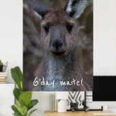 Poster G jour Mate Western Grey Kangaroo (Bureau à domicile)