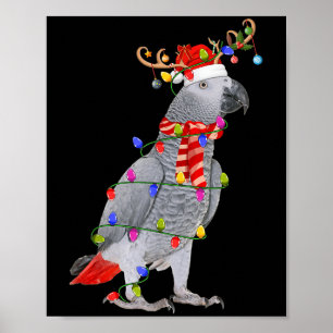 Poster G Parrot Oiseau lumières de Noël Reindeer Santa Ha