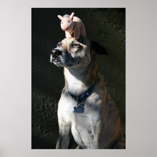 Poster Gabriel a commandé du bacon pour le petit déjeuner (Devant)