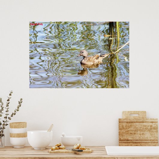 Poster Gadwell Duck (Cuisine)