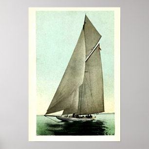 Poster Gagnant 1903 de la tasse de l'Amérique de yacht de