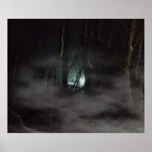 Poster Gagnant du prix Photo la plus chaude! Lumières dan