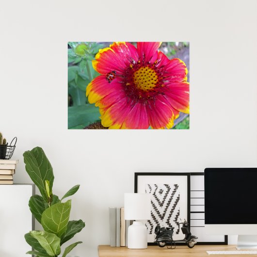 Poster Gaillardia et Ladybug (Bureau à domicile)