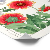 Poster Gaillardia, Plumbago par Tanigami Konan (Coin)
