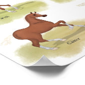 Poster Gaits of the Horse Walk Trot Canter Gallop Sorrel (Coin)