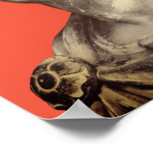 Poster Gaius Iulius Caesar (Coin)