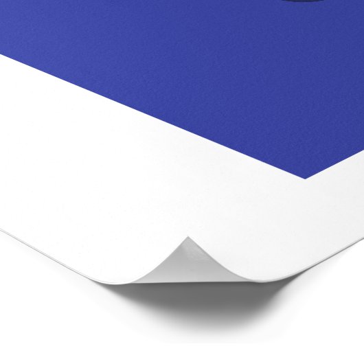 Poster Galactic Geochelone (Coin)