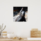 Poster Galapagos (Cuisine)