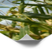 Poster Galations 6:7 Tout ce qu'un homme soweth... (Coin)